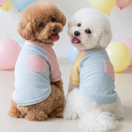 Bubbles Pastel Köpek Tişörtü | Cepli Şeker Renkli Yazlık Köpek Kıyafeti | Küçük Irklar İçin