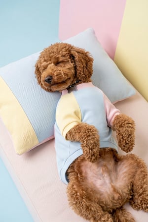 Bubbles Pastel Köpek Uyku Takımı | Mini Yastıklı Şeker Renkli Yazlık Köpek Pijama Seti | Küçük Irklar İçin