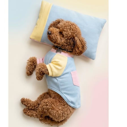 Bubbles Pastel Köpek Uyku Takımı | Mini Yastıklı Şeker Renkli Yazlık Köpek Pijama Seti | Küçük Irklar İçin