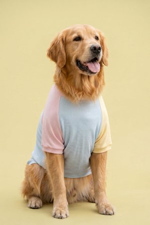 Bubbles Pastel  Orta ve Büyük Irk Köpek Tişörtü | Lacivert Kırmızı Yazlık Köpek Kıyafeti