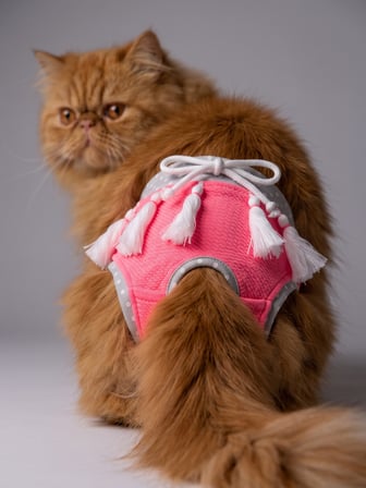 Neo Pink Dişi Kedi Regl Külotu | Don | Kedi İç Çamaşırı | Ayarlanabilir Bağcıklı | Küçük Irklar İçin