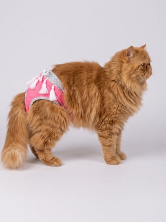 Neo Pink Dişi Kedi Regl Külotu | Don | Kedi İç Çamaşırı | Ayarlanabilir Bağcıklı | Küçük Irklar İçin