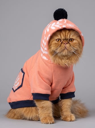 Peachy Pink Kedi Polar Sweatshirt – Sıcak Tutan Yumuşak Kedi Kıyafeti