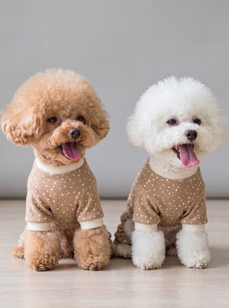 Latte Sprinkles Köpek Tulumu | Pamuklu Penye Köpek Pijaması | Küçük Irklar İçin | Tüy Dökülmesini Azaltır