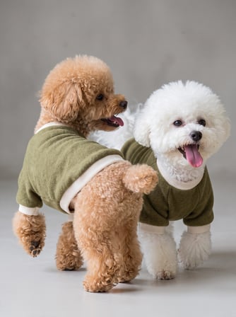 Natura Köpek Polar Sweatshirt | Kapüşonsuz Yumuşak Polar Köpek Kıyafeti | Nefti Yeşil