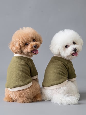 Natura Köpek Polar Sweatshirt | Kapüşonsuz Yumuşak Polar Köpek Kıyafeti | Nefti Yeşil