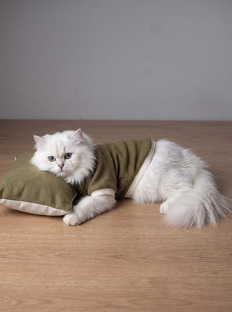 Natura Cozy Pati & Yastık | Nefti Yeşil Polar Kedi Sweatshirt ve Mini Yastık | 2 Parça