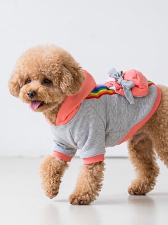 Rainbow Köpek Sweatshirt | Kapüşonlu Gökkuşağı Detaylı Köpek Kıyafeti | Köpek Hoodie
