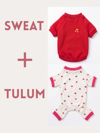 Tatlı Çilek Duo – Çilekli Kedi Tulum & Sweat Kombini