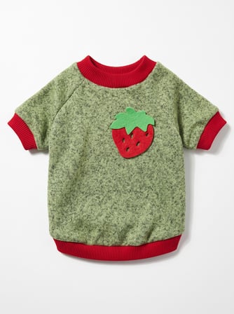 Çilek Tadında Kedi Sweatshirt Yeşil Kırmızı Sıcak Tutan Yumuşak Kedi Kıyafeti