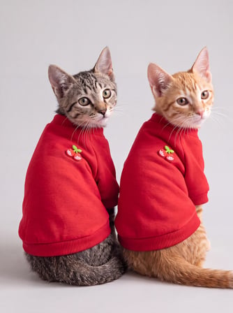 Sevimli Çilek Detaylı Kırmızı Kedi Polar Sweatshirt