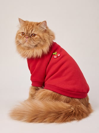 Sevimli Çilek Detaylı Kırmızı Kedi Polar Sweatshirt