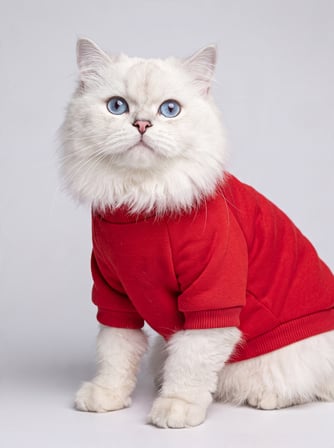 Sevimli Çilek Detaylı Kırmızı Kedi Polar Sweatshirt