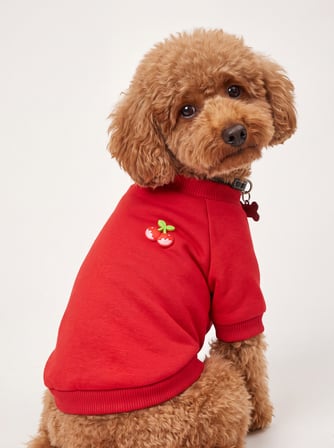 Kiki Kiraz Detaylı Kırmızı Köpek Polar Sweatshirt