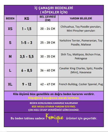 Diva Liva Dişi Köpek Regl Külotu | Köpek Donu | Köpek İç Çamaşırı | Pet Kıyafet | Küçük Irklar İçin