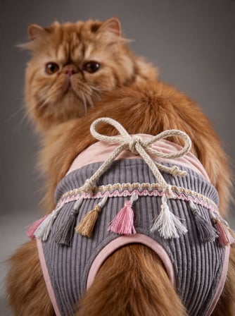 Mini Tassel Lilly Dişi Kedi Regl Külotu | Don | Kedi İç Çamaşırı | Ayarlanabilir Bağcıklı | Küçük Irklar İçin