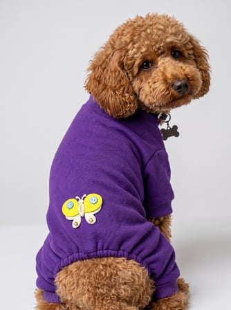 Butterfly Violet Köpek Tulumu | Mor Renk 3D Yumuşak Kelebek Aksesuarlı Penye Köpek Kıyafeti