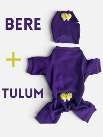 Violet Wings Köpek Bere ve Tulum Kombini | Mor Renk 3D Kelebek Aksesuarlı Penye Köpek Kıyafeti