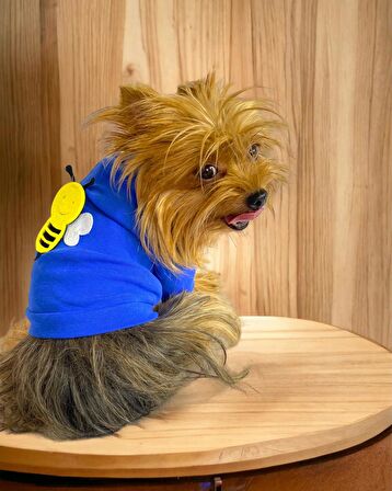 Navy Bee Oval Yaka Tişört Köpek Kıyafeti Köpek Elbisesi