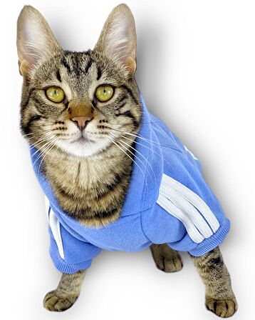 Bebek Mavisi Adidog Kapşonlu Kedi Sweatshirt Kedi Kazağı 