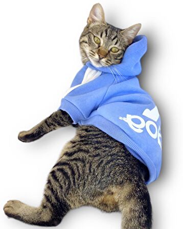 Bebek Mavisi Adidog Kapşonlu Kedi Sweatshirt Kedi Kazağı 