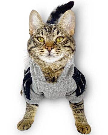 Gri Adidog Kapşonlu Duo Kedi Sweatshirt Duo