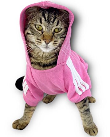 Pembe Adidog Kapşonlu Kedi Sweatshirt Kazak Duo 