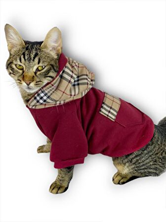 Bb Limited Bordo Duo Kapşonlu Kedi Sweatshirt