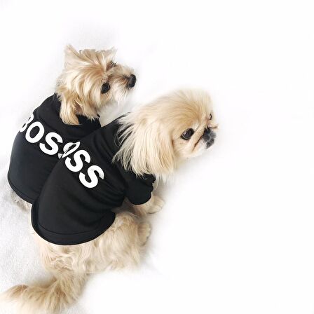 Boss Köpek Tişört