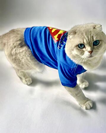 Mavi Superman Kedi Tişörtü Kedi Kıyafeti Kedi Elbisesi