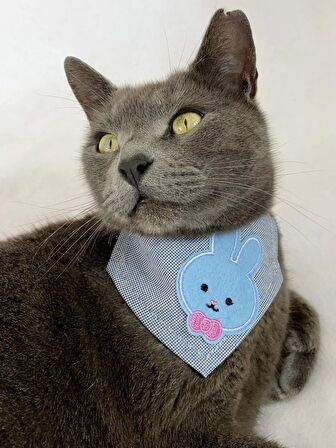 Blue Bunny Kedi Bandana, Fular, Kedi Kıyafeti Kedi Elbisesi, Kedi Tasması