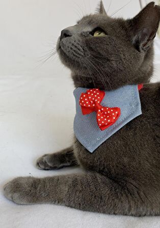 Dinner Date Red Kedi Bandana, Fular, Kedi Kıyafeti Kedi Elbisesi, Kedi Tasması