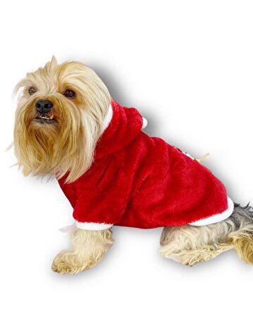 Gold Santa Yılbaşı Köpek Sweatshirt, Noel Sweatshirt
