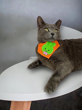 Green Bunny Kedi Bandana, Fular, Kedi Kıyafeti Kedi Elbisesi, Kedi Tasması