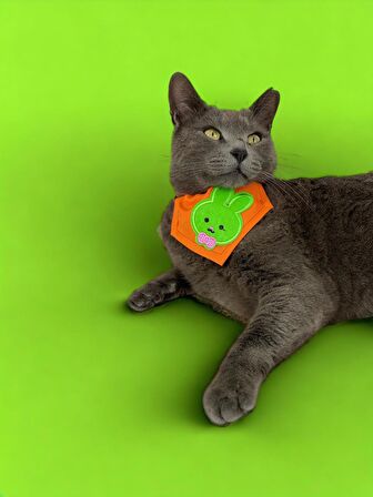 Green Bunny Kedi Bandana, Fular, Kedi Kıyafeti Kedi Elbisesi, Kedi Tasması