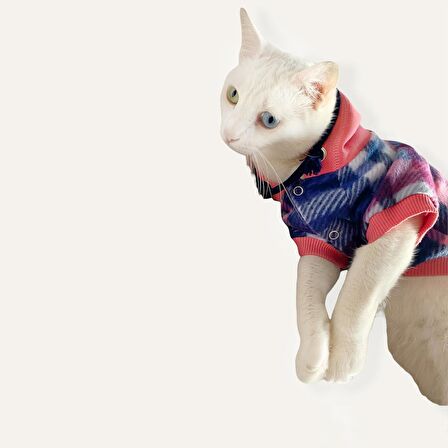 Mini Suqare Pie Kapşonlu Sweatshirt Ceket Kedi Süeteri Kıyafeti 