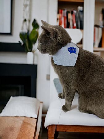 King Blue Kedi Bandana, Fular, Kedi Kıyafeti Kedi Elbisesi, Kedi Tasması