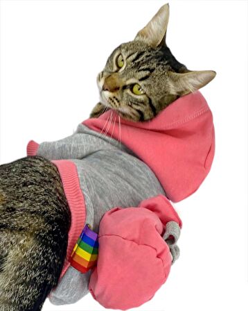 MyPocket Sweatshirt Duo Kapşonlu Kedi Kıyafeti Kedi Sweatshirt