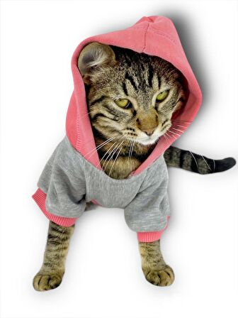MyPocket Sweatshirt Duo Kapşonlu Kedi Kıyafeti Kedi Sweatshirt