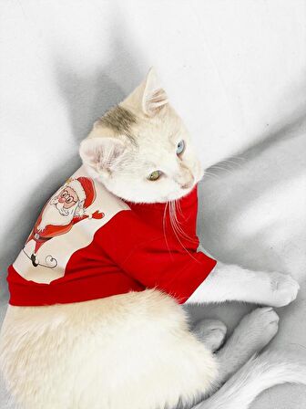 Noel Baba Ve Rudolph Kedi Tişörtü 