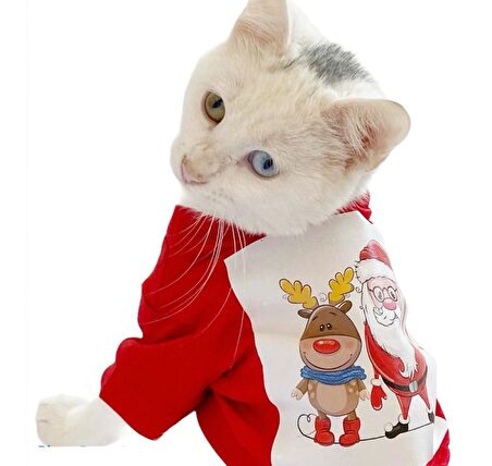 Noel Baba Ve Rudolph Kedi Tişörtü 