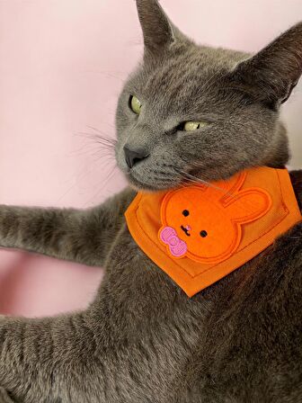 Orange Bunny Kedi Bandana, Fular, Kedi Kıyafeti Kedi Elbisesi, Kedi Tasması