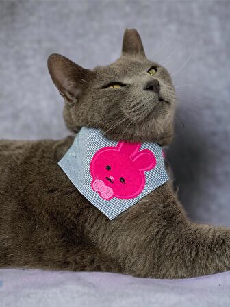 Pink Bunny Kedi Bandana, Fular, Kedi Kıyafeti Kedi Elbisesi, Kedi Tasması