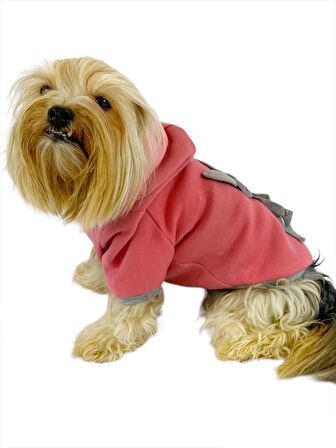 Pinky Rabbit Kapşonlu Sweatshirt Köpek Kıyafeti Köpek Elbisesi 