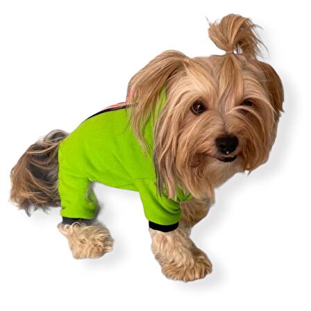 Shipy Pink Stripe Kulaklı Köpek Tulumu Kıyafeti