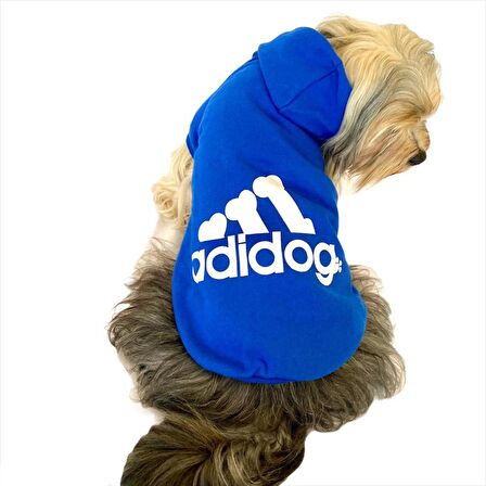 Saks Mavi Adidog Kapşonlu Duo Köpek Sweatshirt Köpek Kazağı