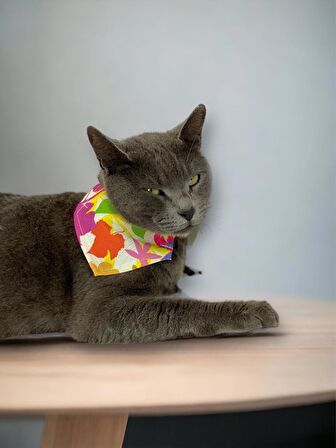 Summer Kedi Bandana, Fular, Kedi Kıyafeti Kedi Elbisesi, Kedi Tasması