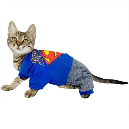 Superman Penye Tulum Kedi Tulumu Kedi Elbisesi