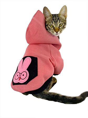 Student Rabbit Sweatshirt Kedi Kıyafeti Kedi Elbisesi