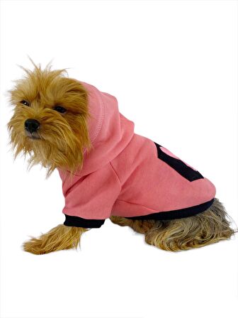 Student Rabbit Sweatshirt Köpek Kıyafeti Köpek Elbisesi